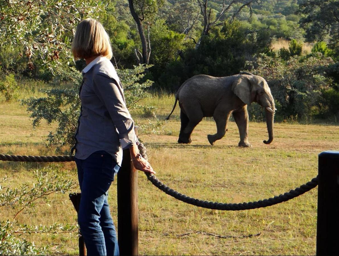 Metsi Lodge Welgevonden Game Reserve Exterior foto