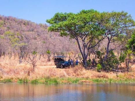 Metsi Lodge Welgevonden Game Reserve Exterior foto