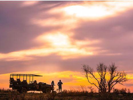 Metsi Lodge Welgevonden Game Reserve Exterior foto